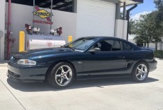 CM Auction Success Story: hipoDunc Rides Off on a Mustang